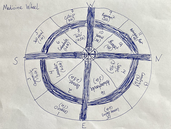 what's in a medicine wheel